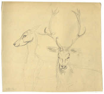 Visualizza l'immagine "FD D 151"